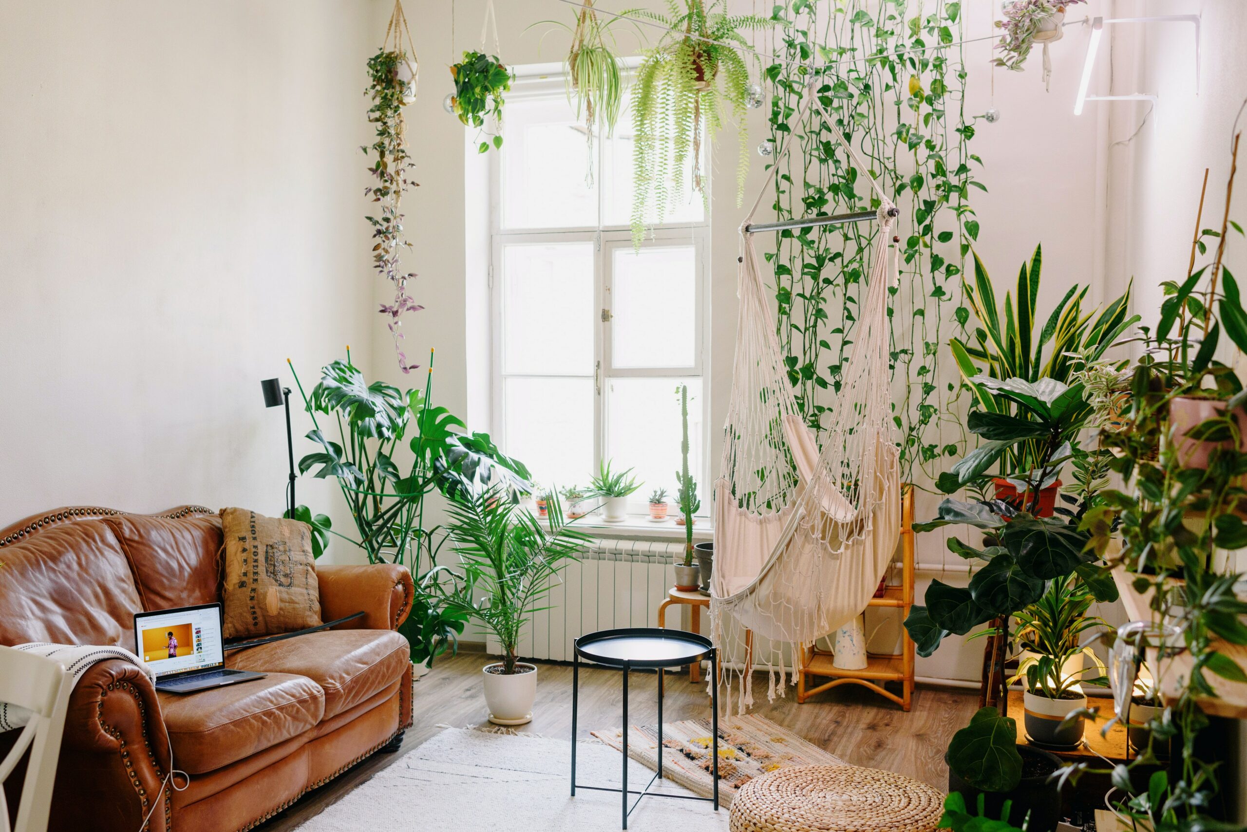 Urban Jungle: Incorporating Plants into Interior Design - placeideal.com