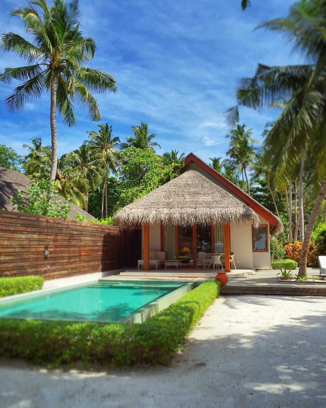 27 Pool Landscaping Ideas to Transform Your Backyard into a Paradise ...