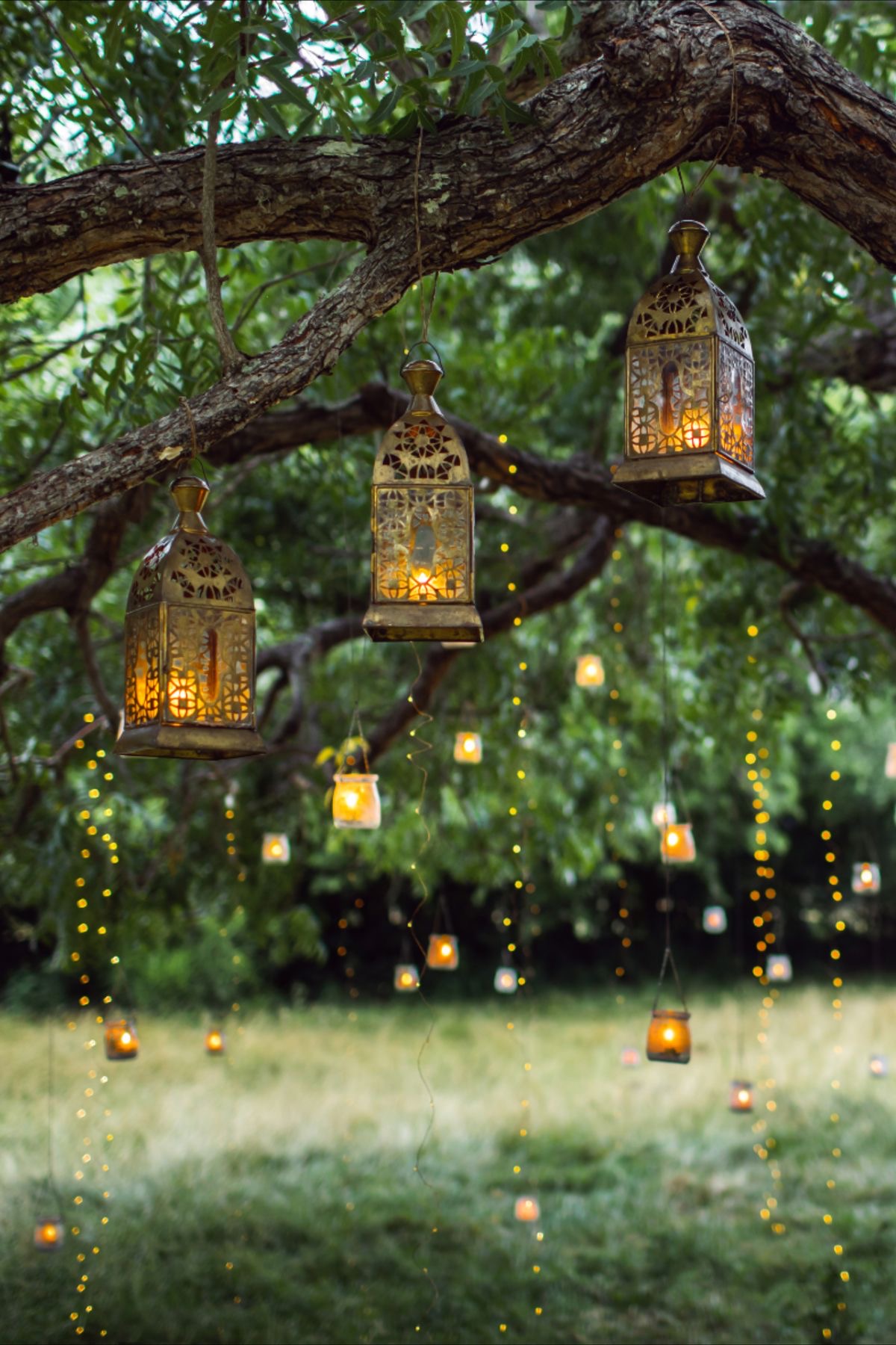 38 Outdoor Tree Lights to Transform Your Garden - Magical Lighting ...