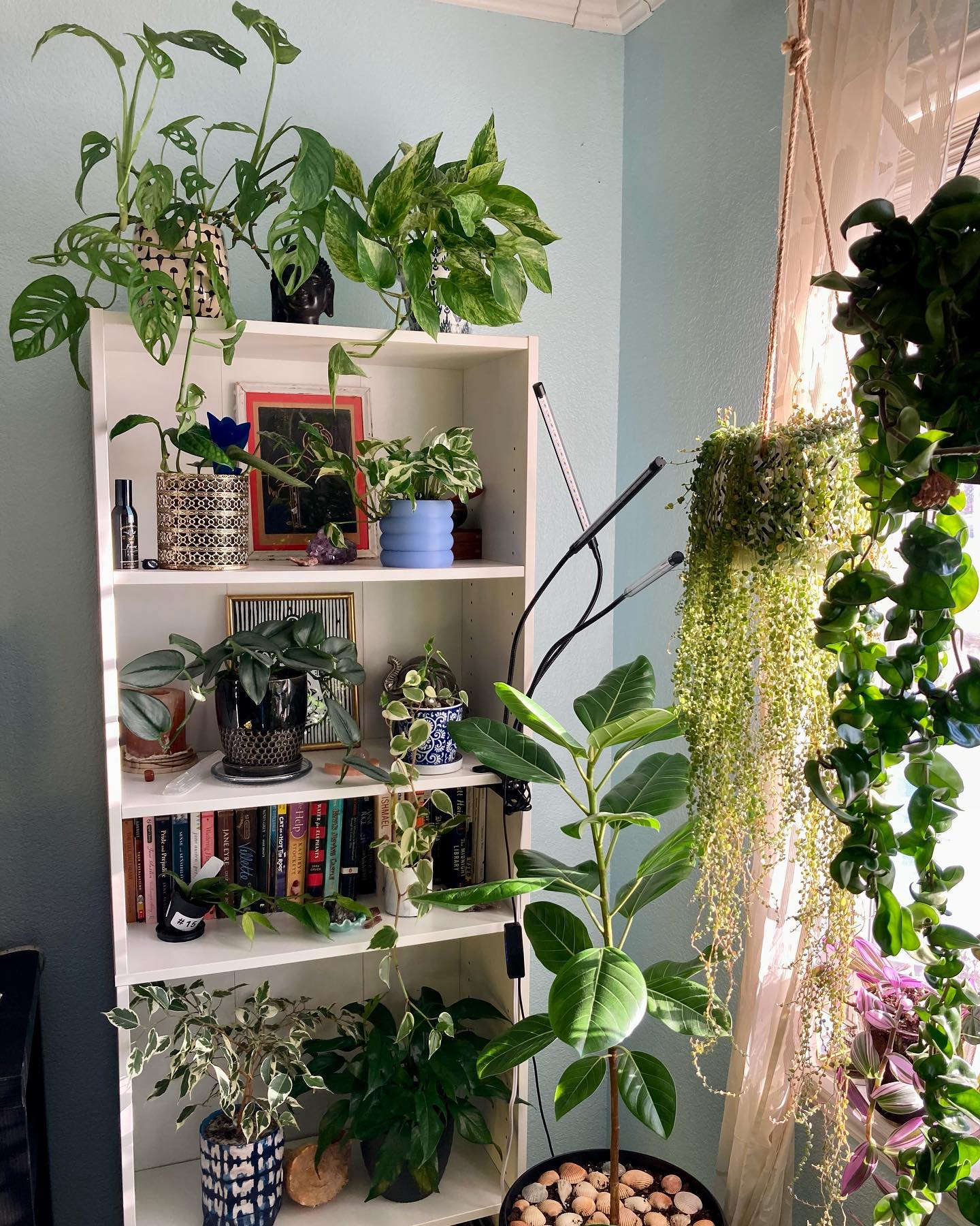 31 Houseplants Decor Ideas: Transform Your Home with Stunning Indoor ...