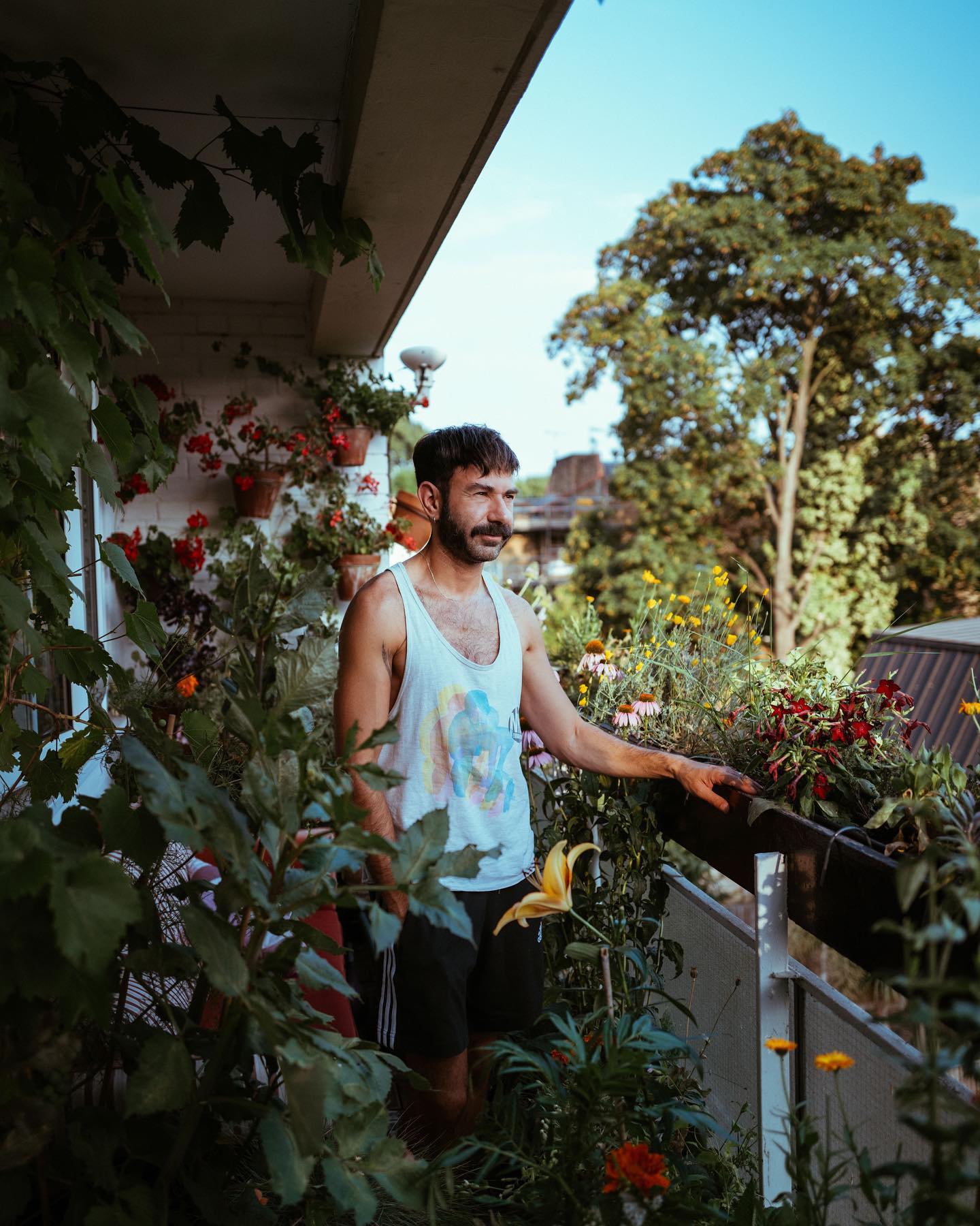 Image showcasing Pocket gardens: The tiny urban oases with surprisingly big benefits