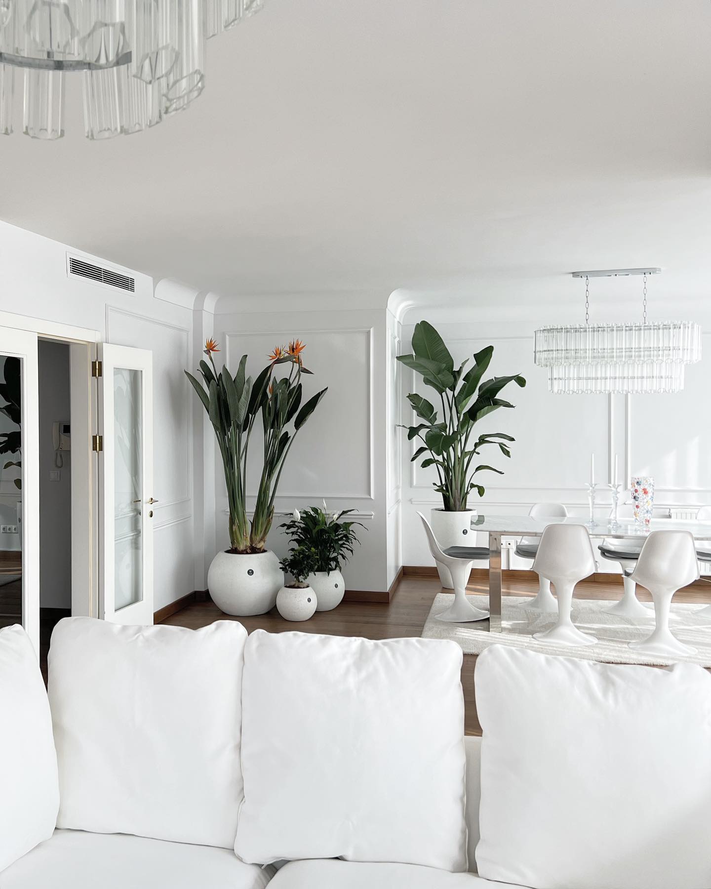 31 Houseplants Decor Ideas: Transform Your Home with Stunning Indoor ...