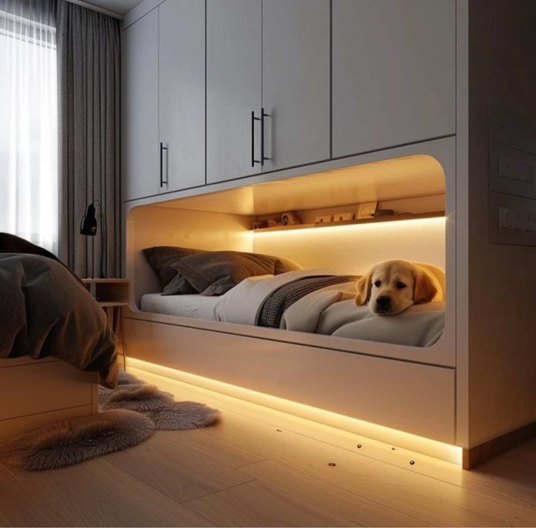 24 Pet Bedroom Ideas: Cozy and Stylish Spaces for Your Furry Friends ...