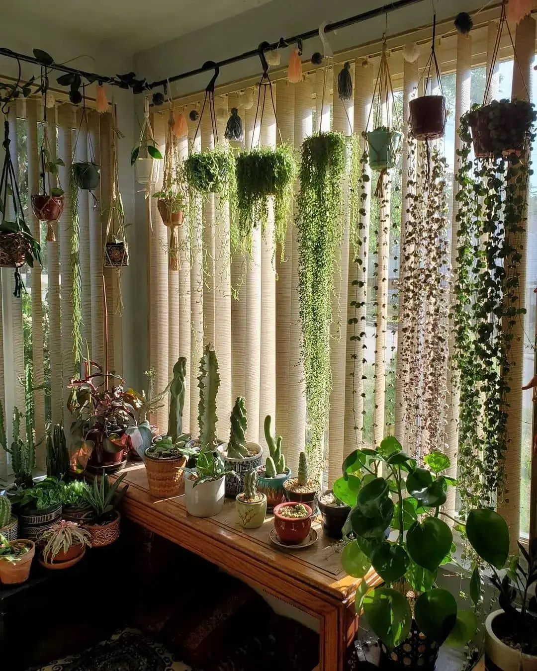 31 Houseplants Decor Ideas: Transform Your Home with Stunning Indoor ...