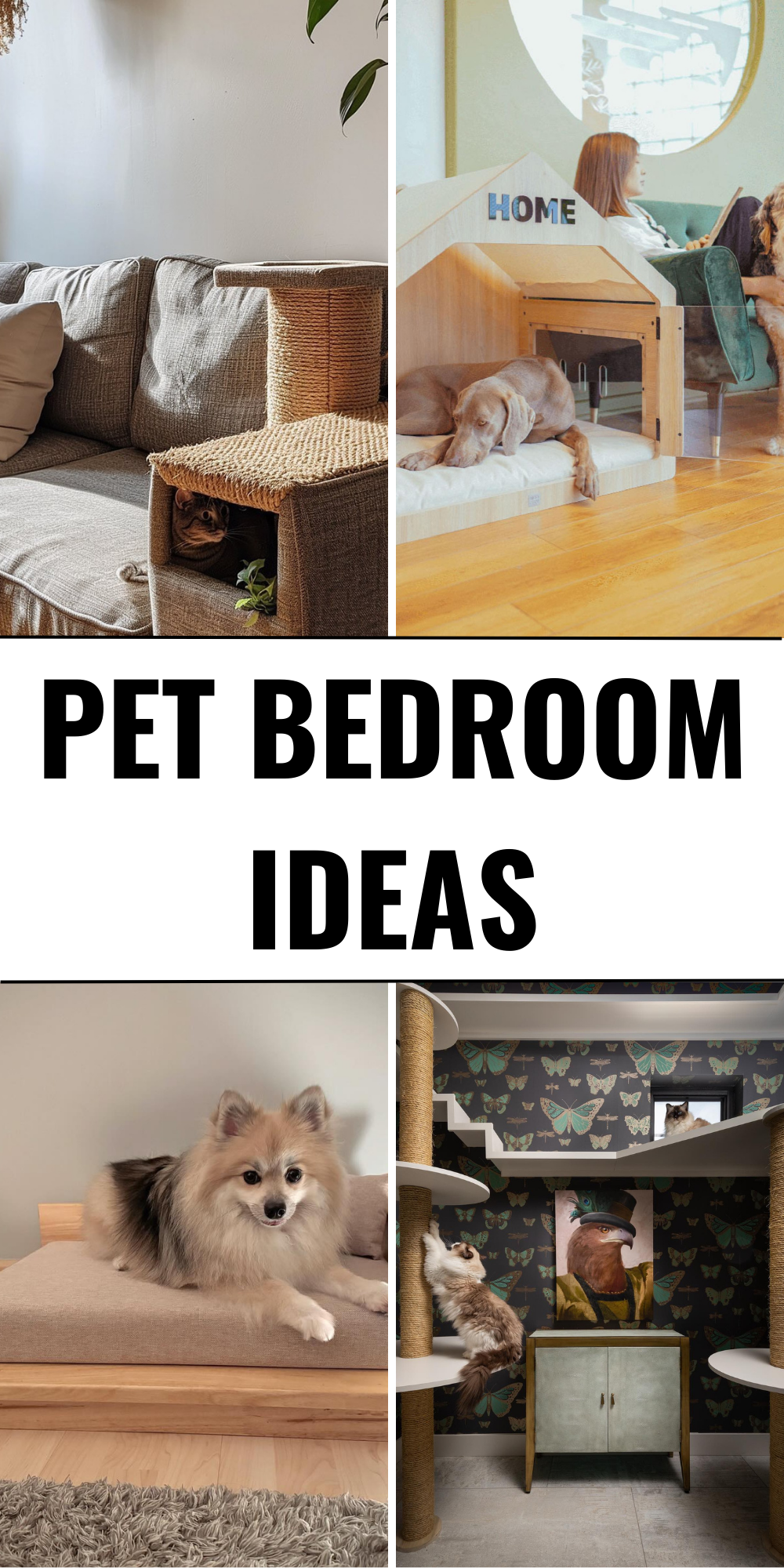 24 Pet Bedroom Ideas: Cozy and Stylish Spaces for Your Furry Friends ...