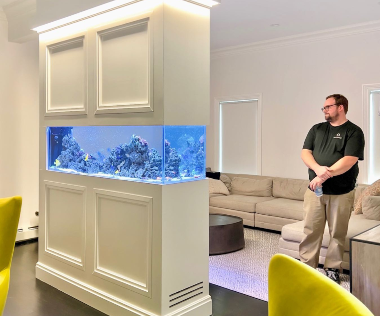 Photo inspiration: High End Aquarium Design Elements Reference: 23 Fish Tank Ideas Living Room Modern Unique And Aesthetic
