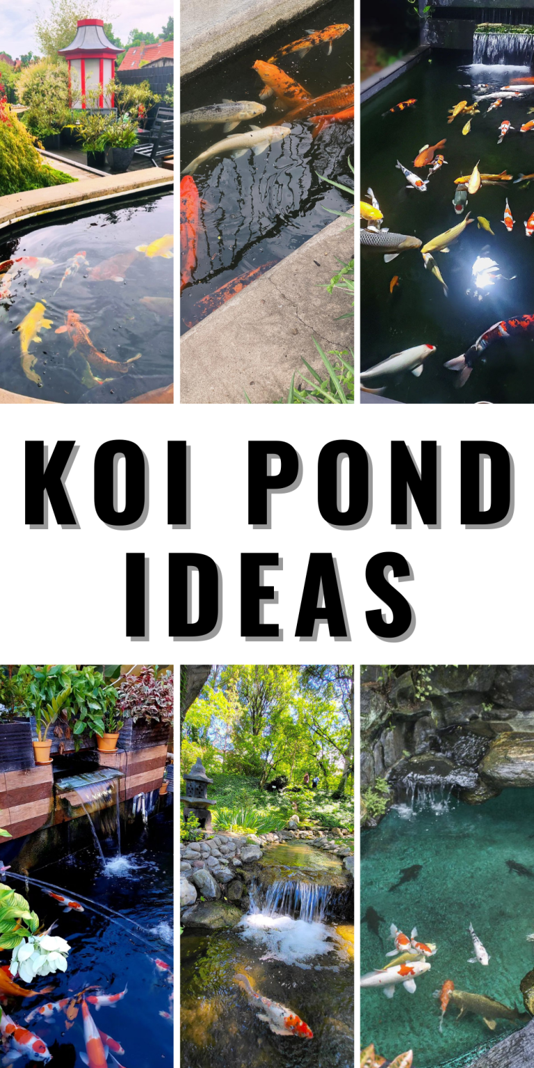 28 Koi Pond Ideas to Transform Your Backyard into a Serene Oasis ...