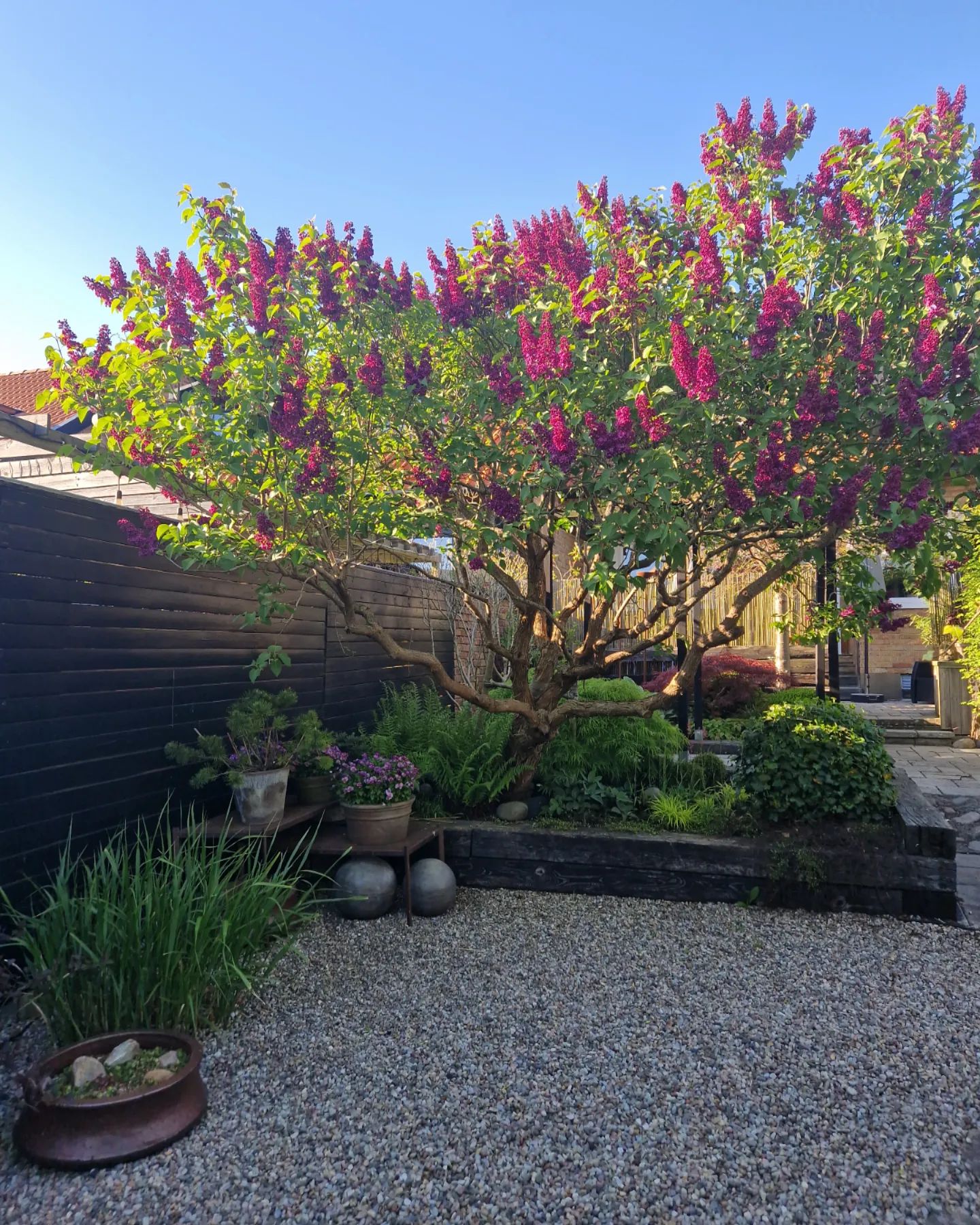 29 Garden Ideas for Small Spaces: Transform Your Tiny Backyard into a ...