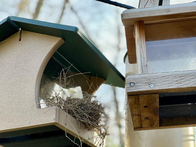 25 Garden Bird Feeders Ideas to Beautify Your Outdoor Space and Attract ...