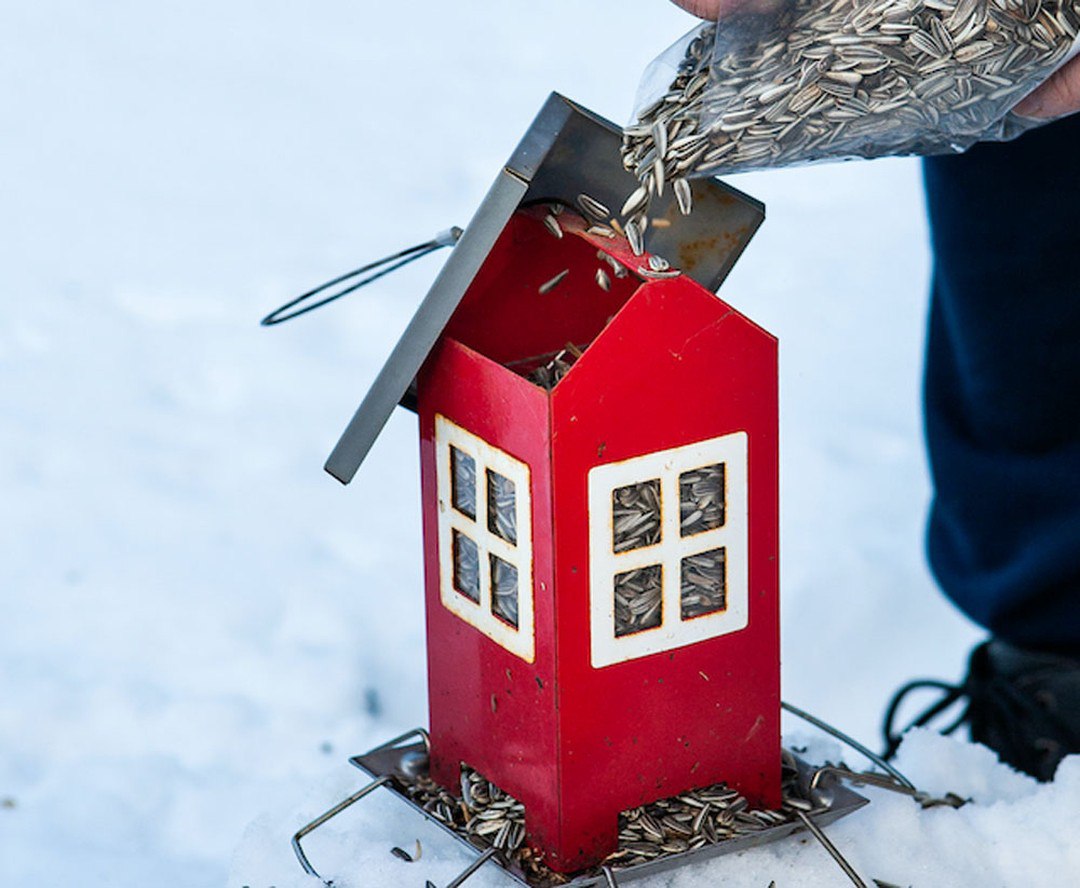 25 Garden Bird Feeders Ideas to Beautify Your Outdoor Space and Attract ...