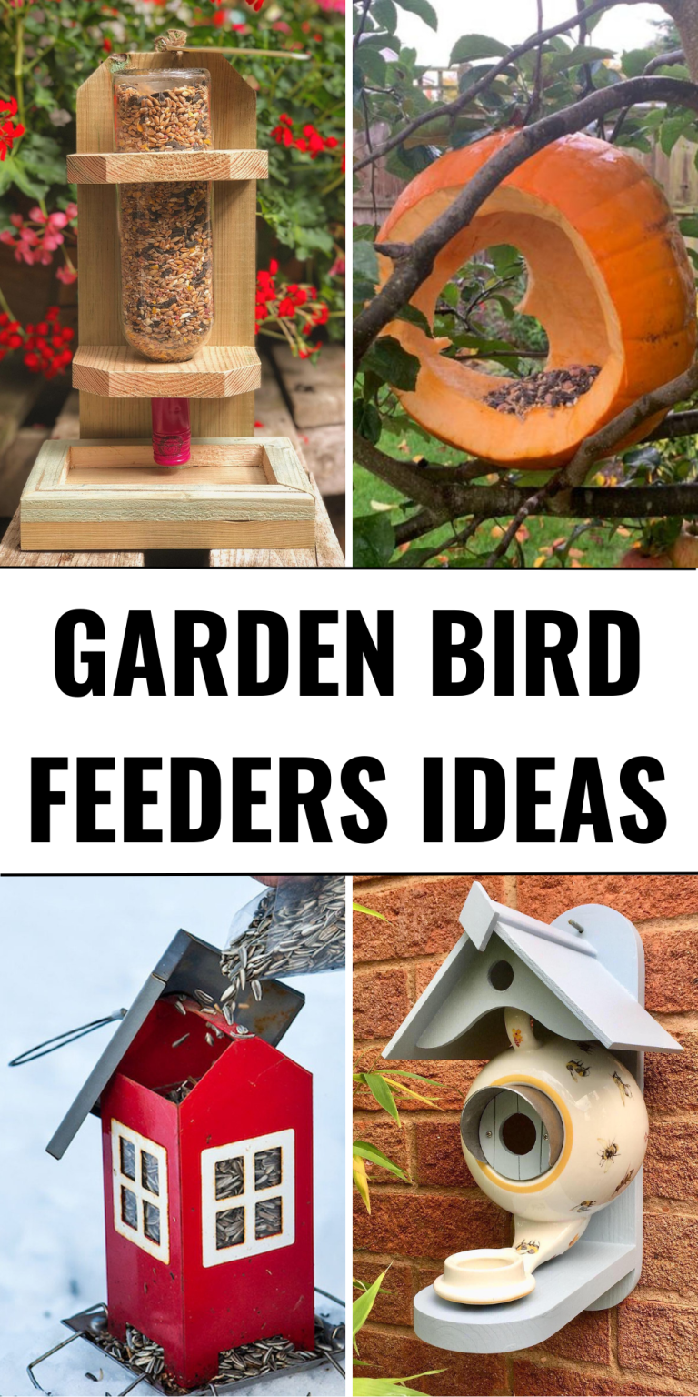 25 Garden Bird Feeders Ideas to Beautify Your Outdoor Space and Attract ...