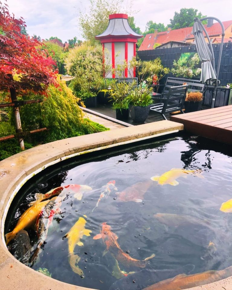 28 Koi Pond Ideas to Transform Your Backyard into a Serene Oasis ...