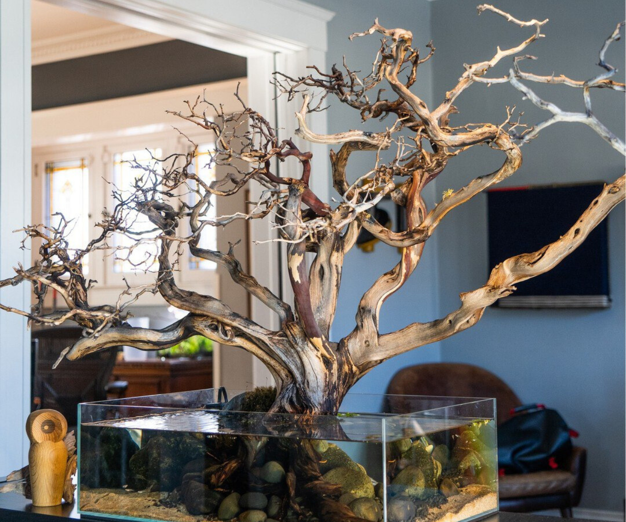23 Fish Tank Ideas Living Room: Modern, Unique, and Aesthetic Designs ... - Aesthetic Fish Room Decor Inspiration