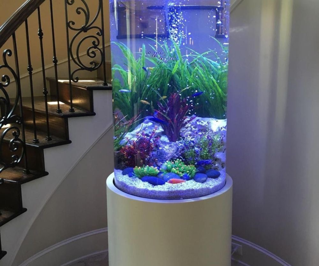 Picture of 23 Fish Tank Ideas Living Room: Modern, Unique, and Aesthetic Designs ...