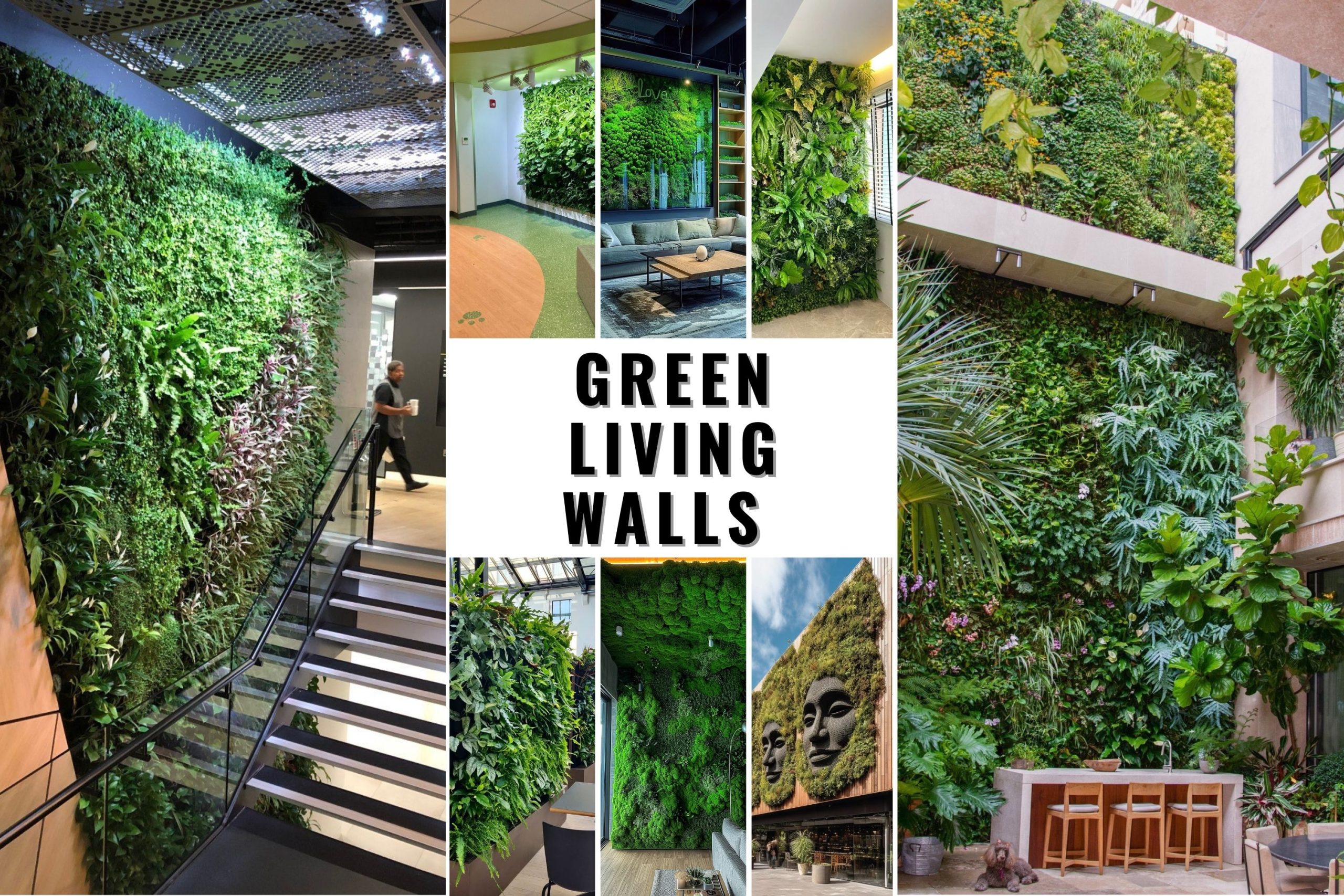 30 Stunning Green Living Walls: Transform Your Space with Nature ...