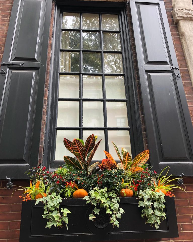 30 Fall Window Decorations to Transform Your Home This Autumn ...