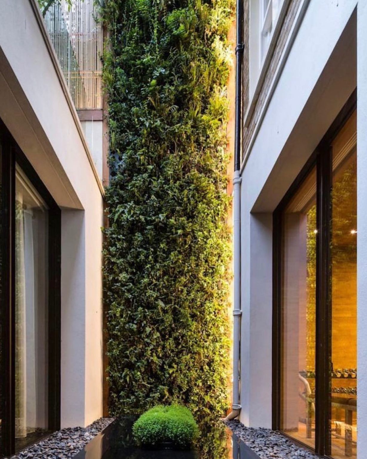 30 Stunning Green Living Walls: Transform Your Space with Nature