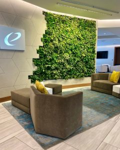 30 Stunning Green Living Walls: Transform Your Space with Nature ...