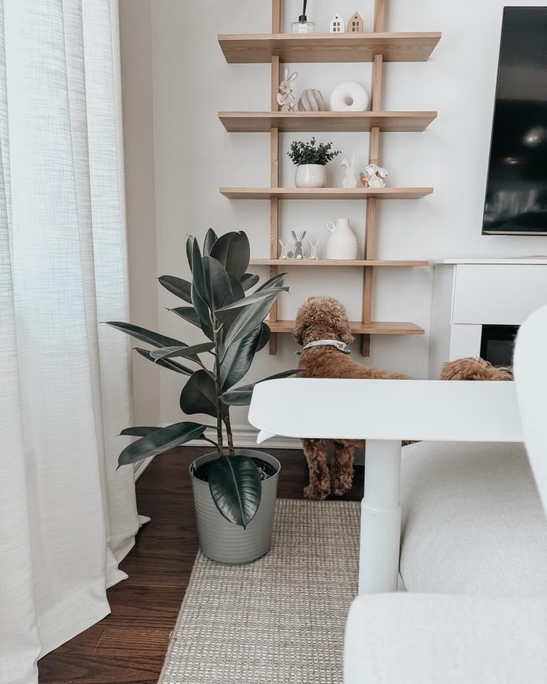 25 Wall Shelves Bedroom Ideas to Transform Your Space - placeideal.com