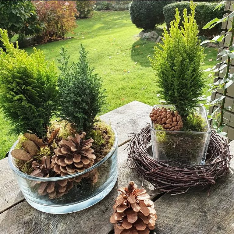 30 DIY Garden Projects: Transform Your Backyard with Creative and ...