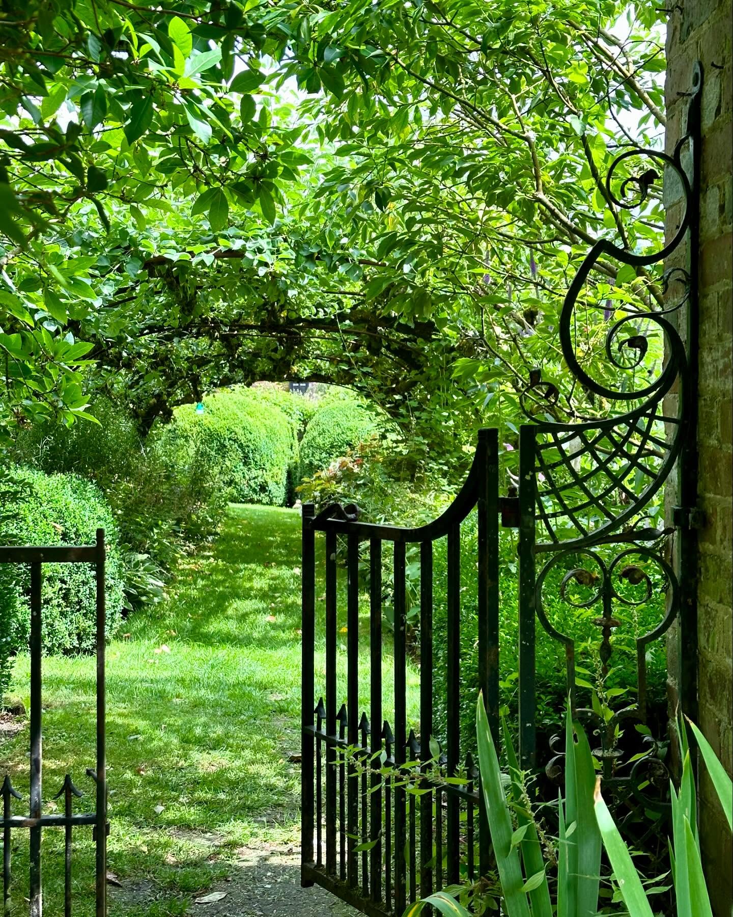 25 Secret Garden Ideas to Transform Your Backyard into a Magical ...