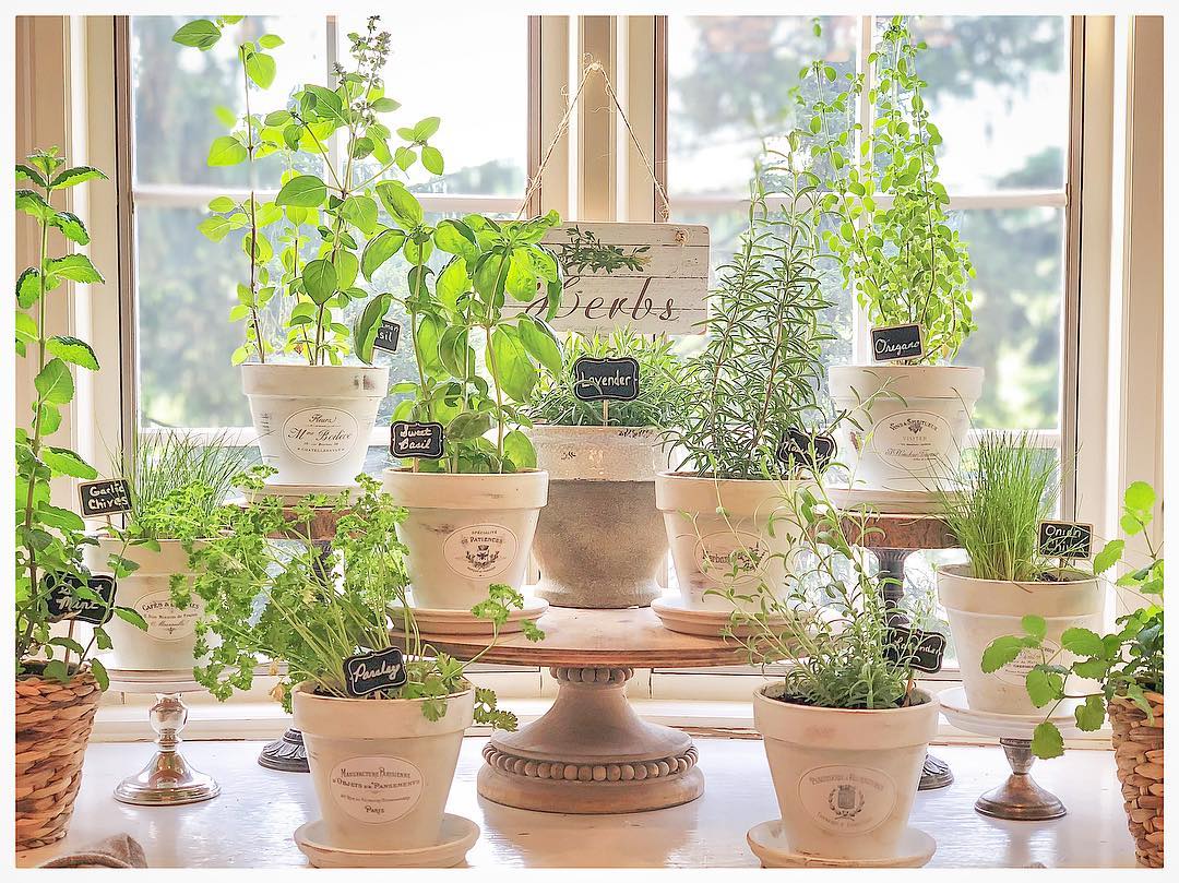 25 Herb Garden Ideas: Transform Your Space with Creative and Functional ...