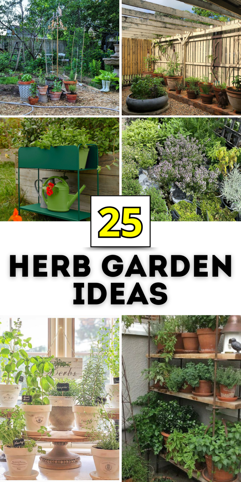 25 Herb Garden Ideas: Transform Your Space with Creative and Functional ...