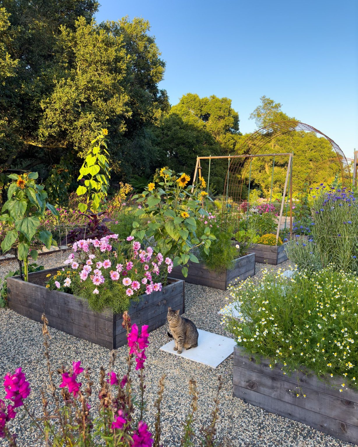 35 Raised Bed Garden Ideas: Transform Your Backyard into a Stunning and ...