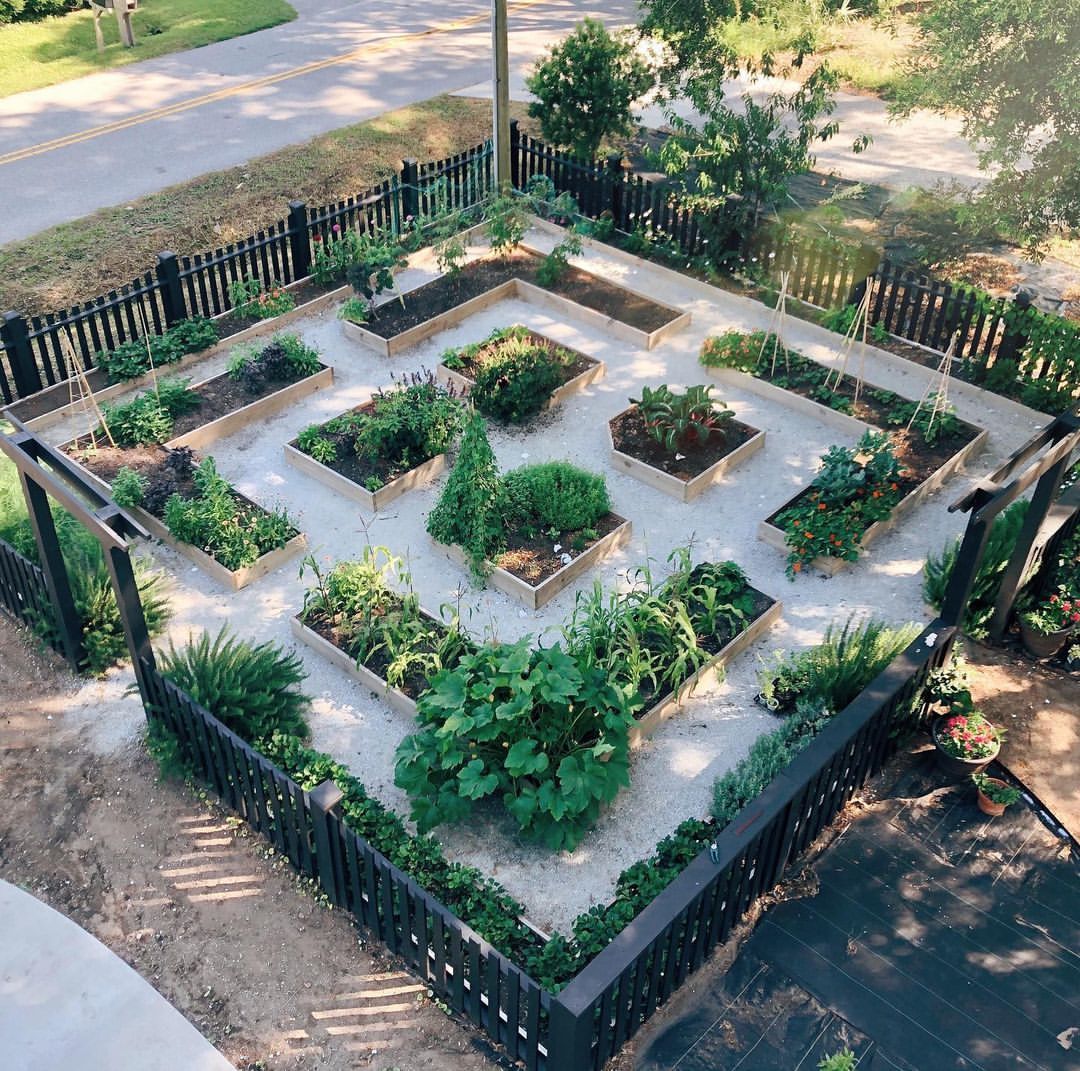 25 Veggie Garden Layout Ideas to Transform Your Backyard: Raised Beds ...