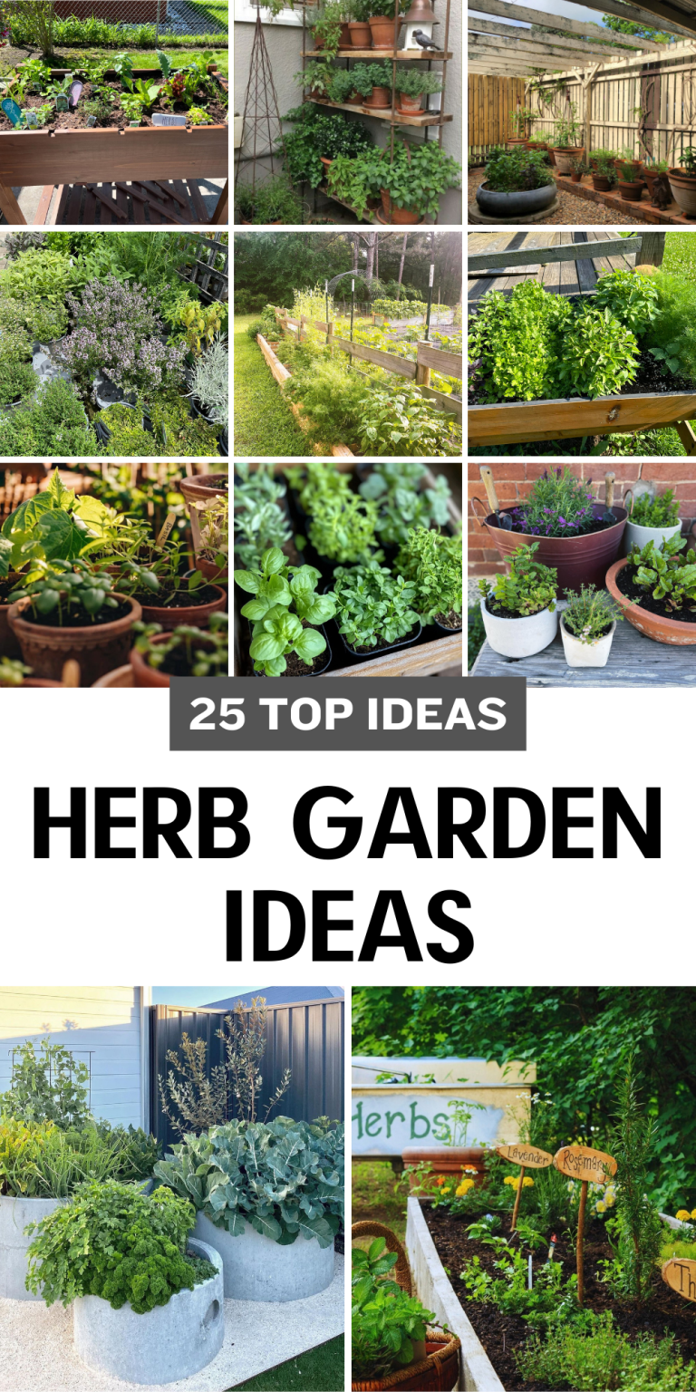 25 Herb Garden Ideas: Transform Your Space with Creative and Functional ...
