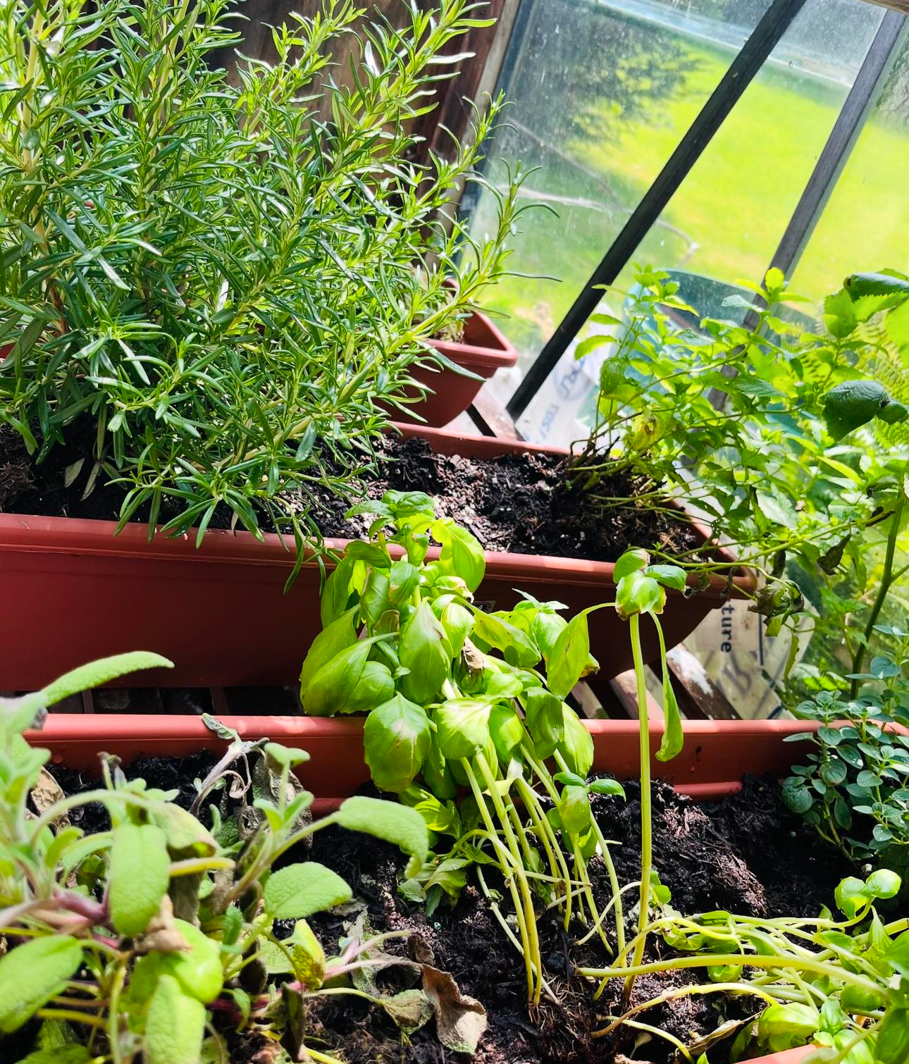 25 Herb Garden Ideas: Transform Your Space with Creative and Functional ...