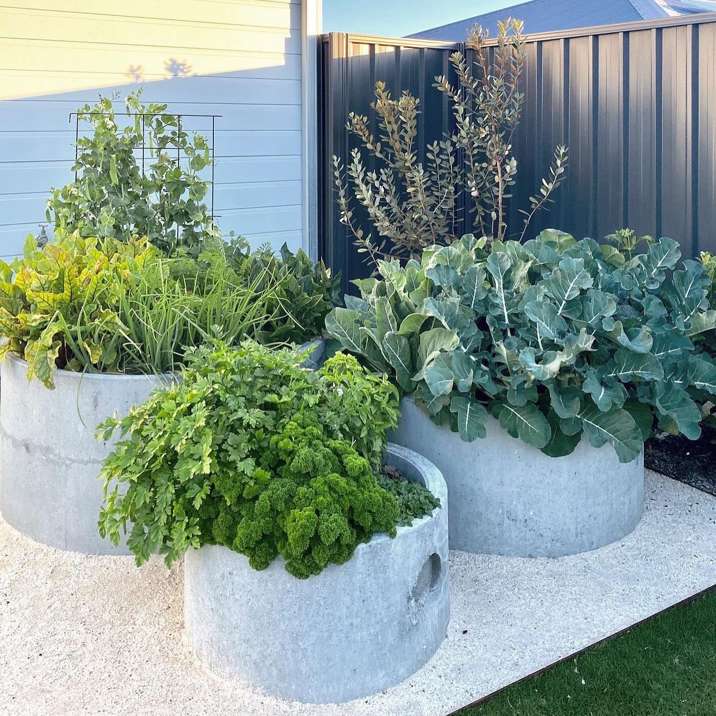 25 Herb Garden Ideas: Transform Your Space with Creative and Functional ...