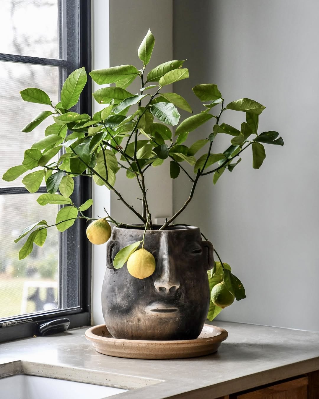 34 Lemon Kitchen Decor 2025 Ideas That Will Brighten Your Home with ...