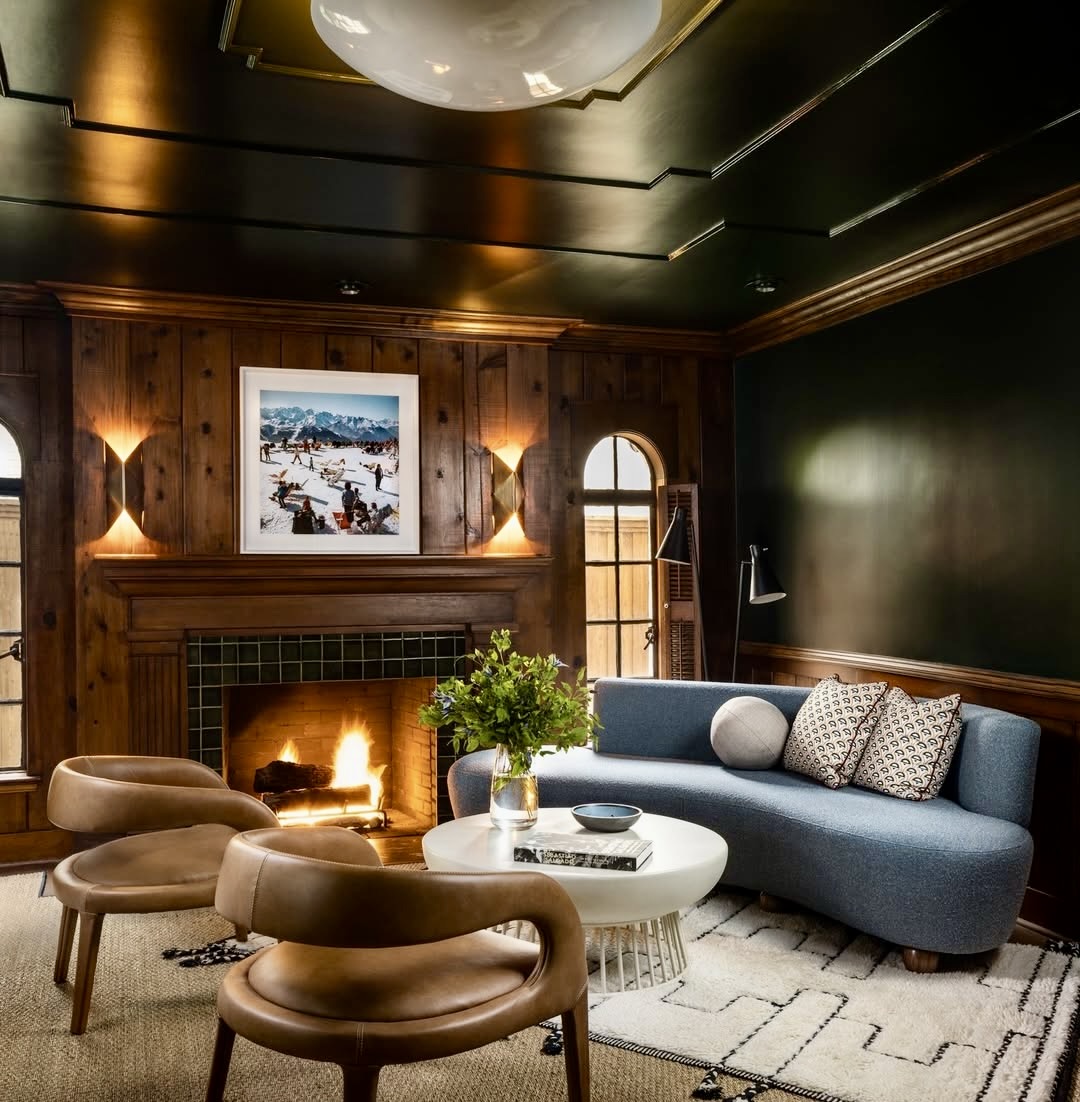 35 Moody Living Room 2025 Ideas for Cozy, Stylish Interiors with Dark ...