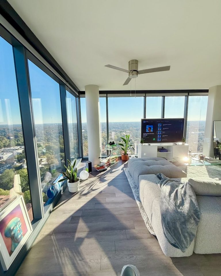 Natural Light Apartment Renovation Ideas photo