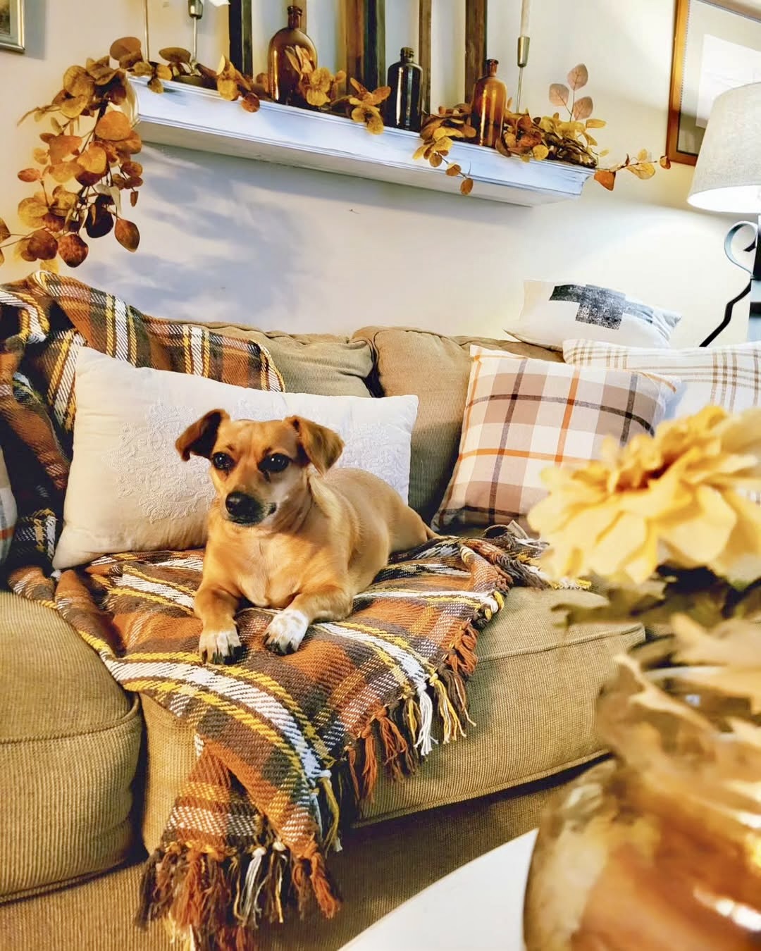 35 Cozy Fall Decor Ideas to Transform Your Home into a Warm and ...