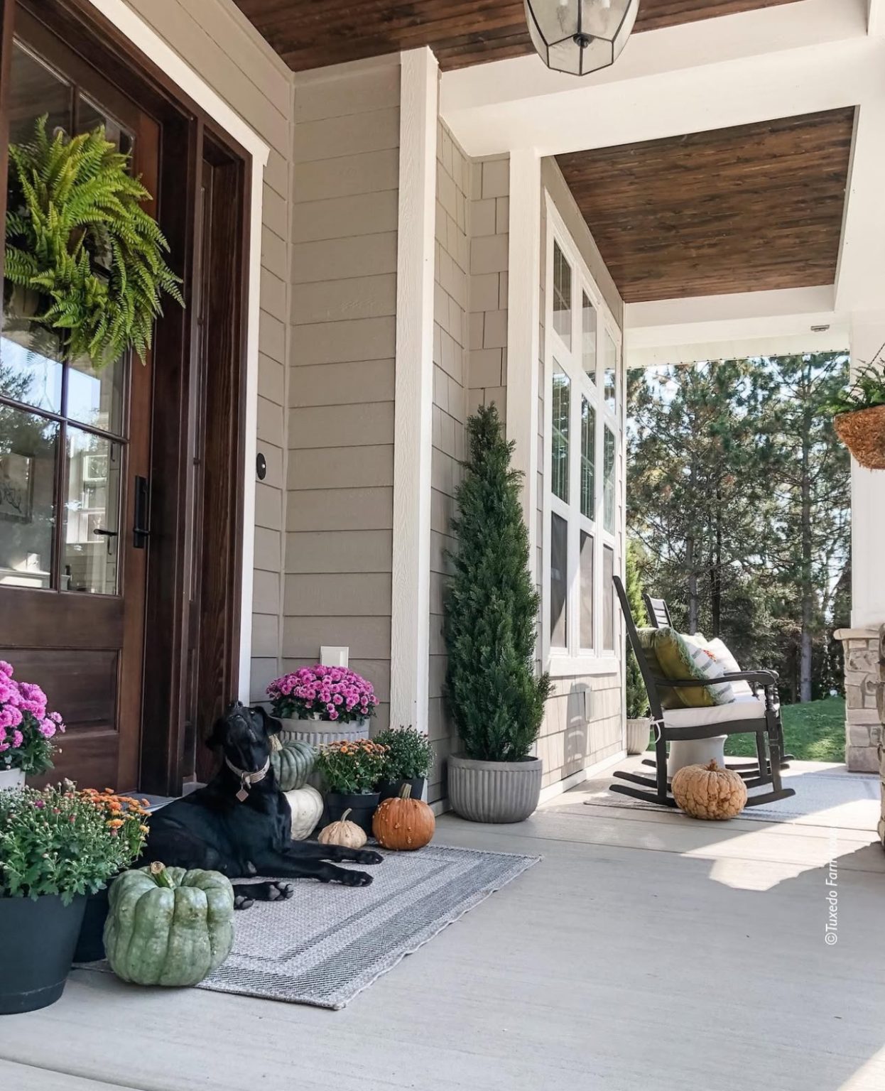 30 Front Porch Decorating Ideas for Every Season: Inspiration for Fall ...