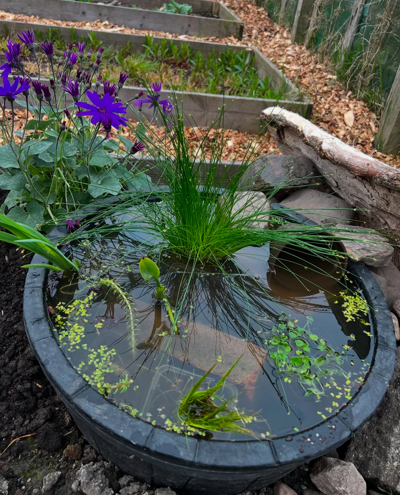 30 Pond Ideas to Transform Your Garden into a Relaxing and Aesthetic ...