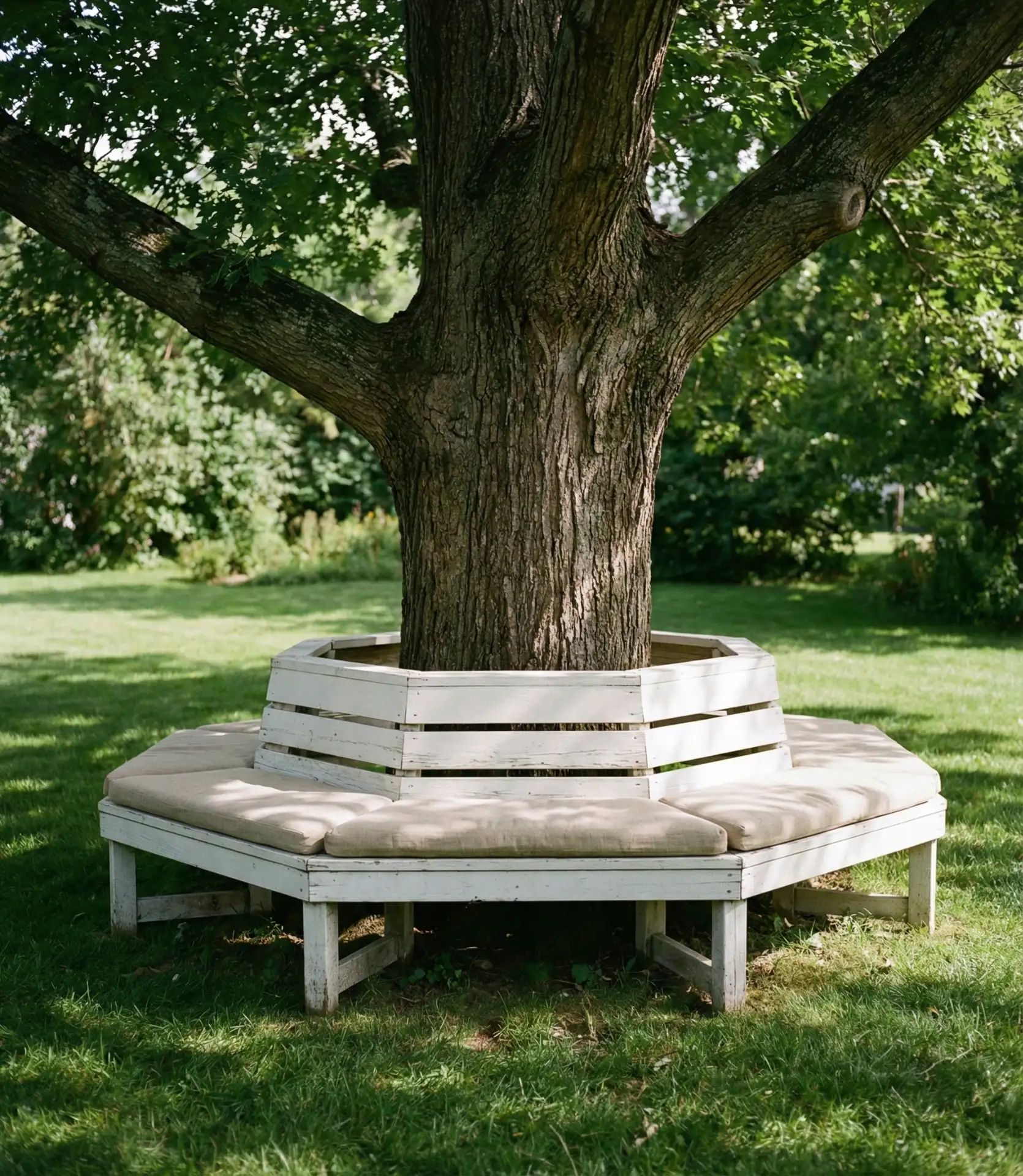 Built-In Seating Around Tree Canopy 1