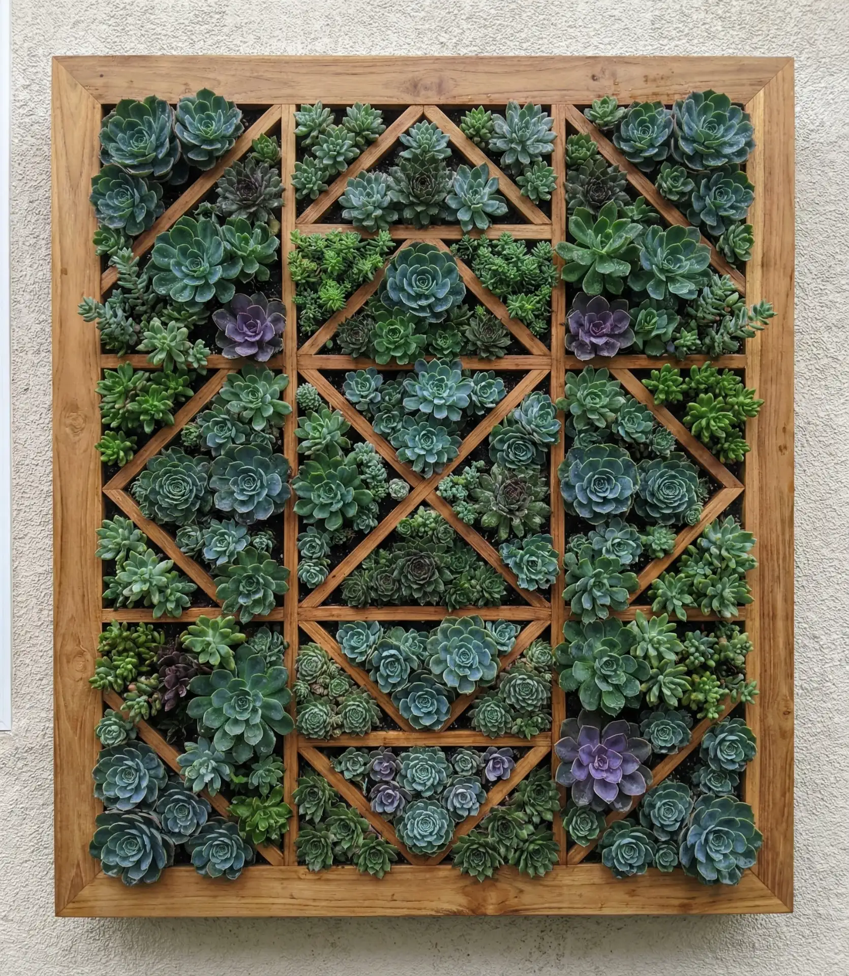Creative Succulent Living Wall Panels 2
