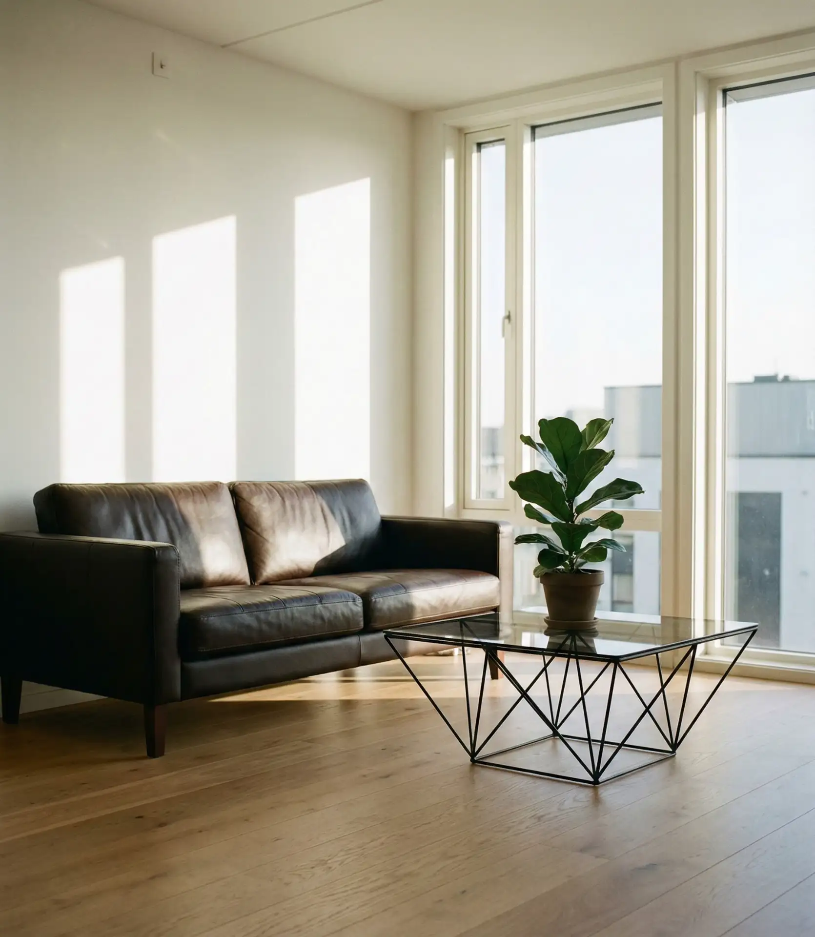 Dark Chocolate Leather Meets Modern Minimalism 1