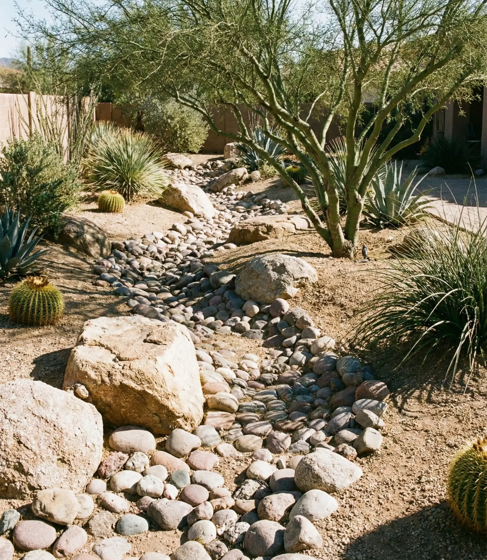 Desert Wash Dry Creek Bed with Native Boulders 1