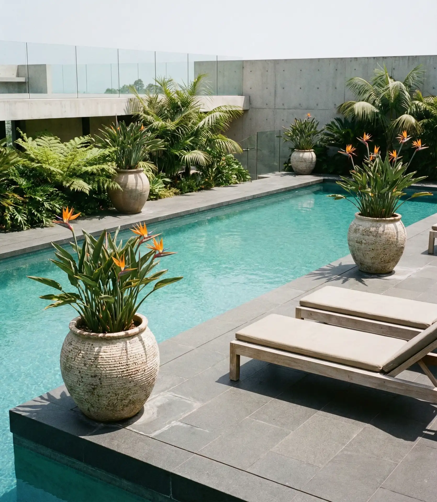 Geometric Pool Deck with Tropical Plantings 1