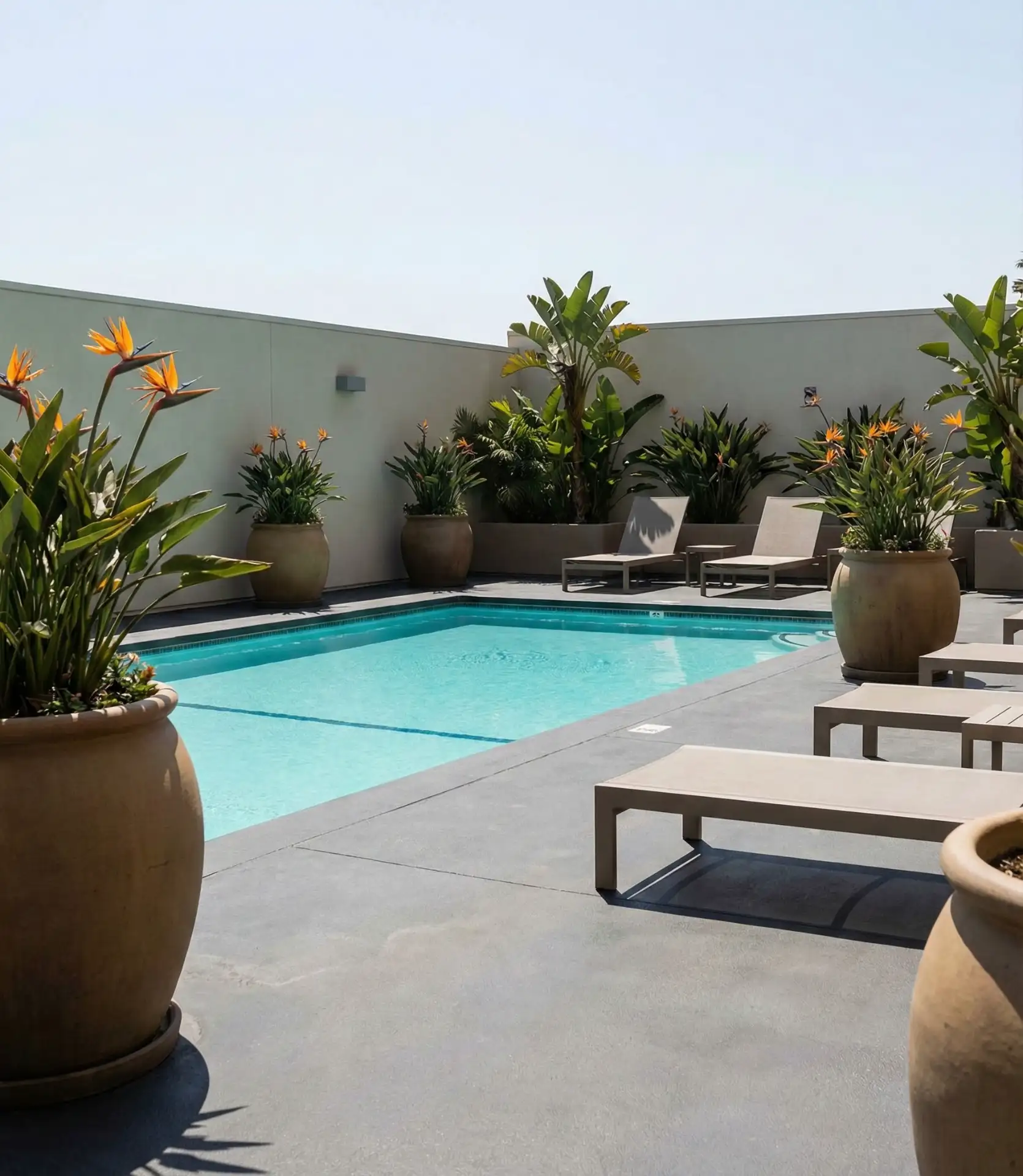 Geometric Pool Deck with Tropical Plantings 2