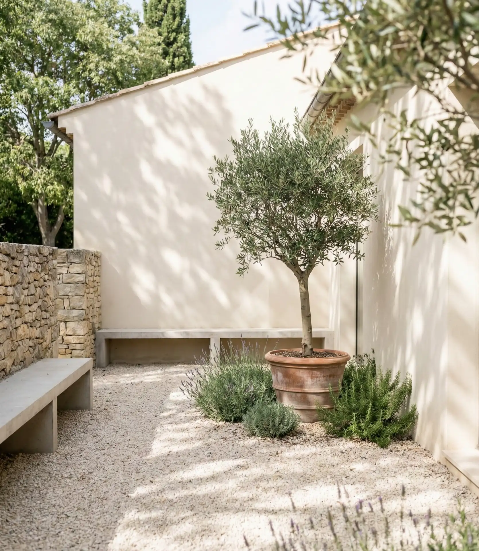 Gravel Courtyard with Specimen Trees 2
