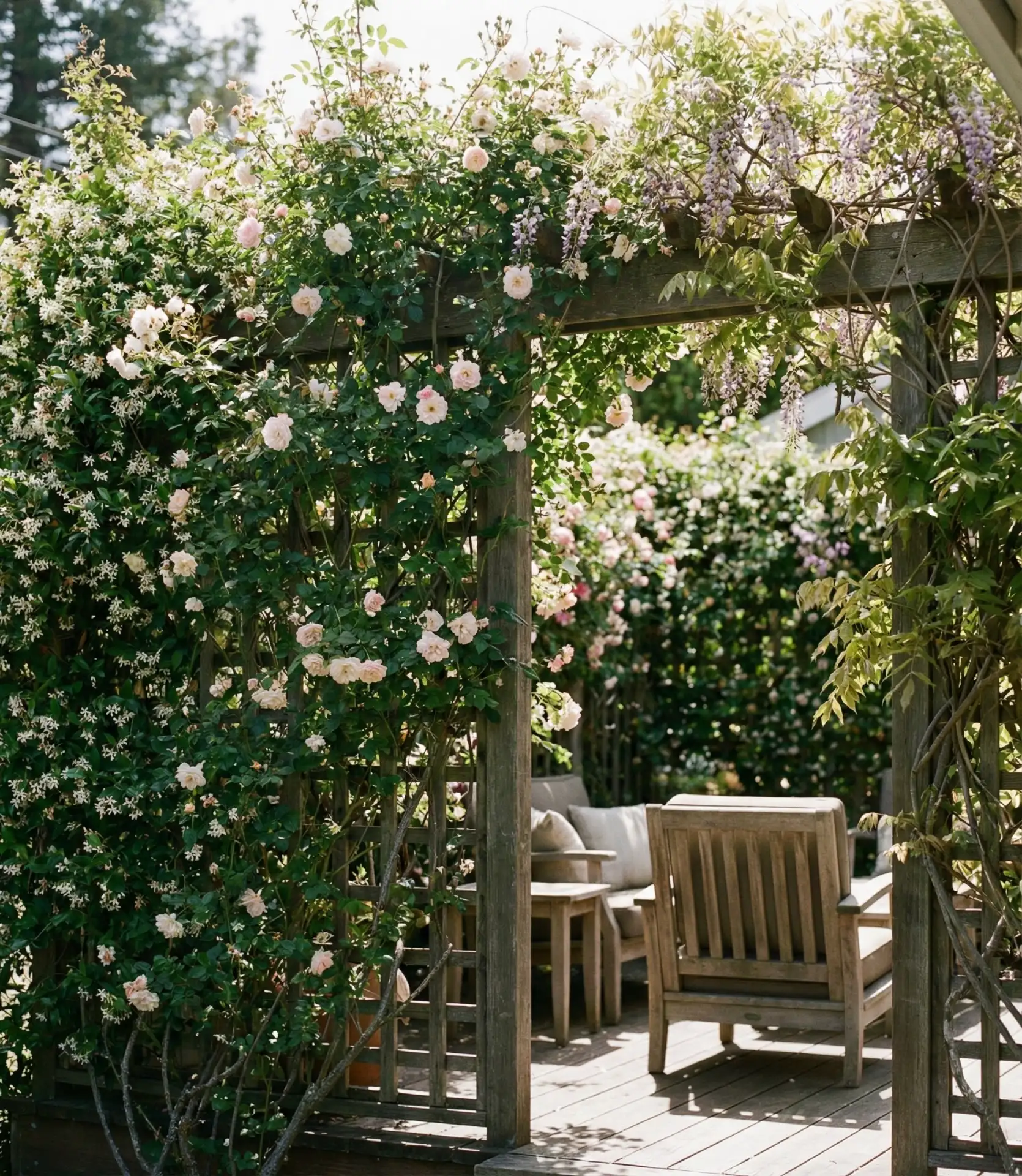 Greenery-Wrapped Privacy Screen 1