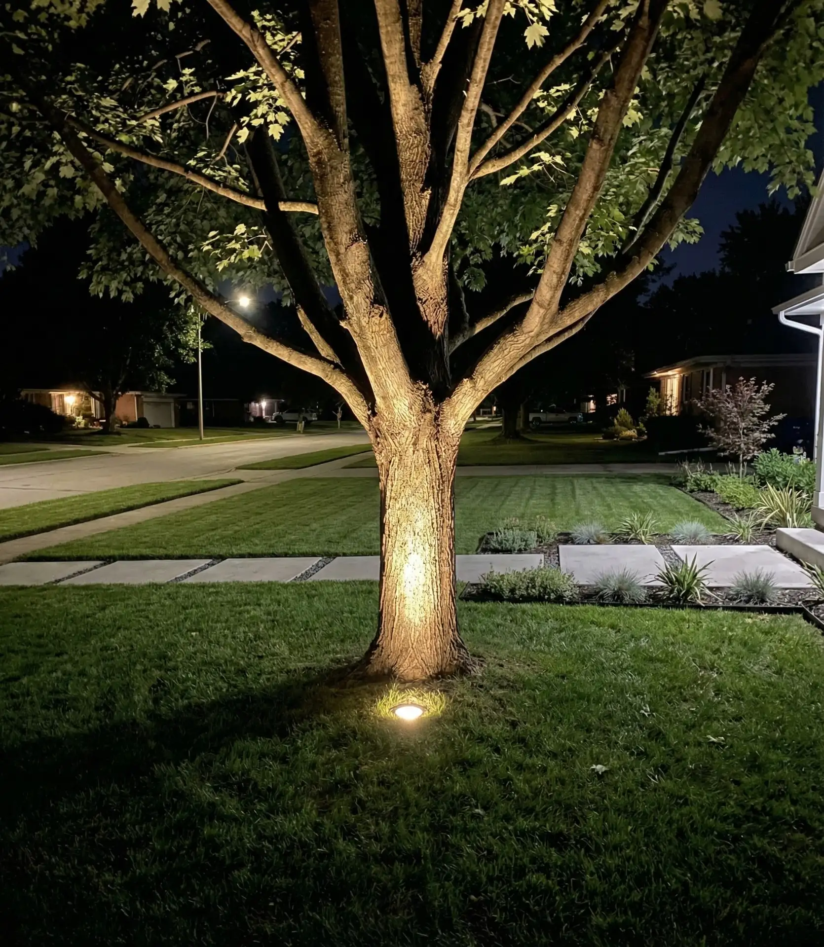 Ground-Level Well Lights for Landscape Features 1