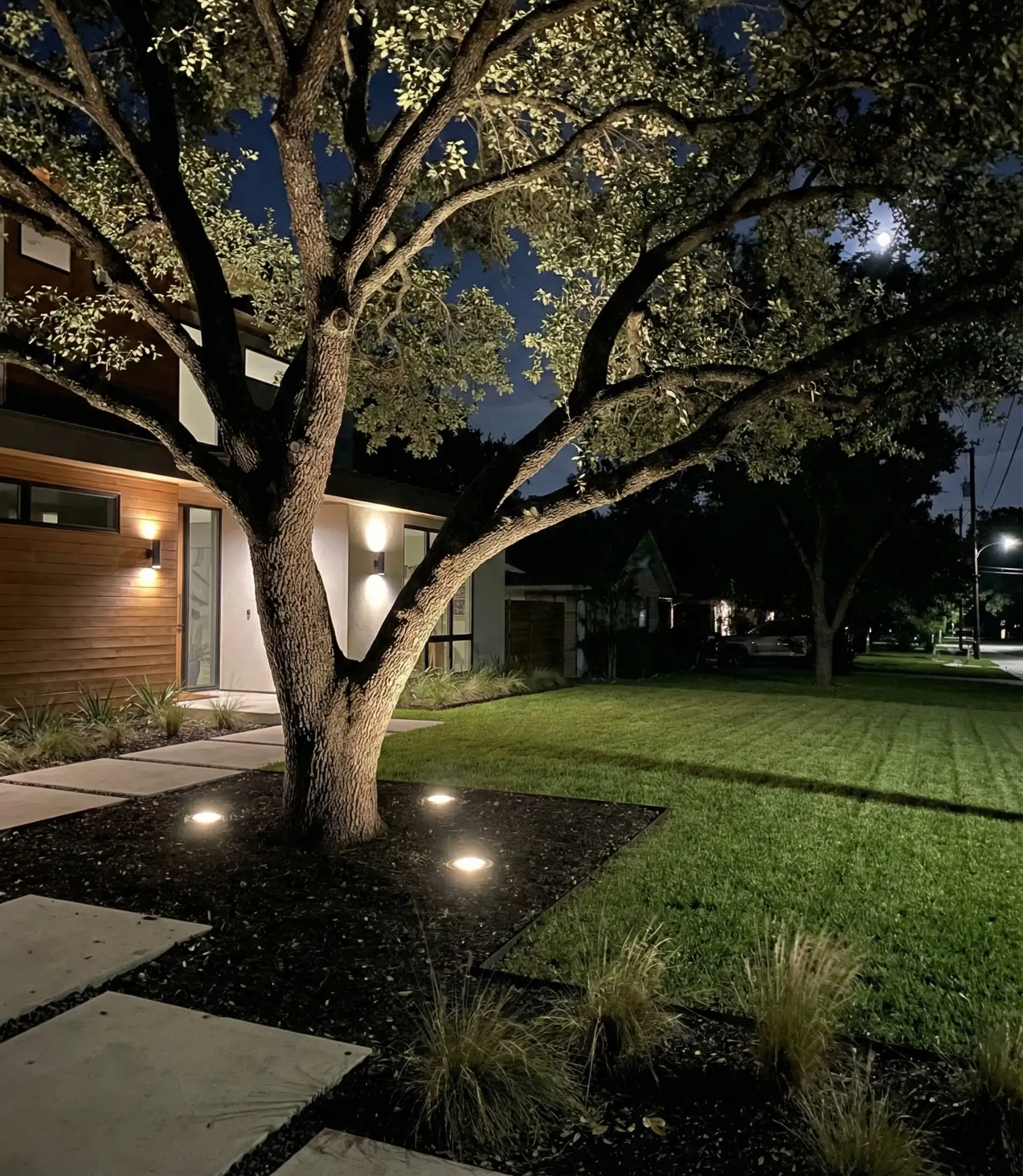 Ground-Level Well Lights for Landscape Features 2