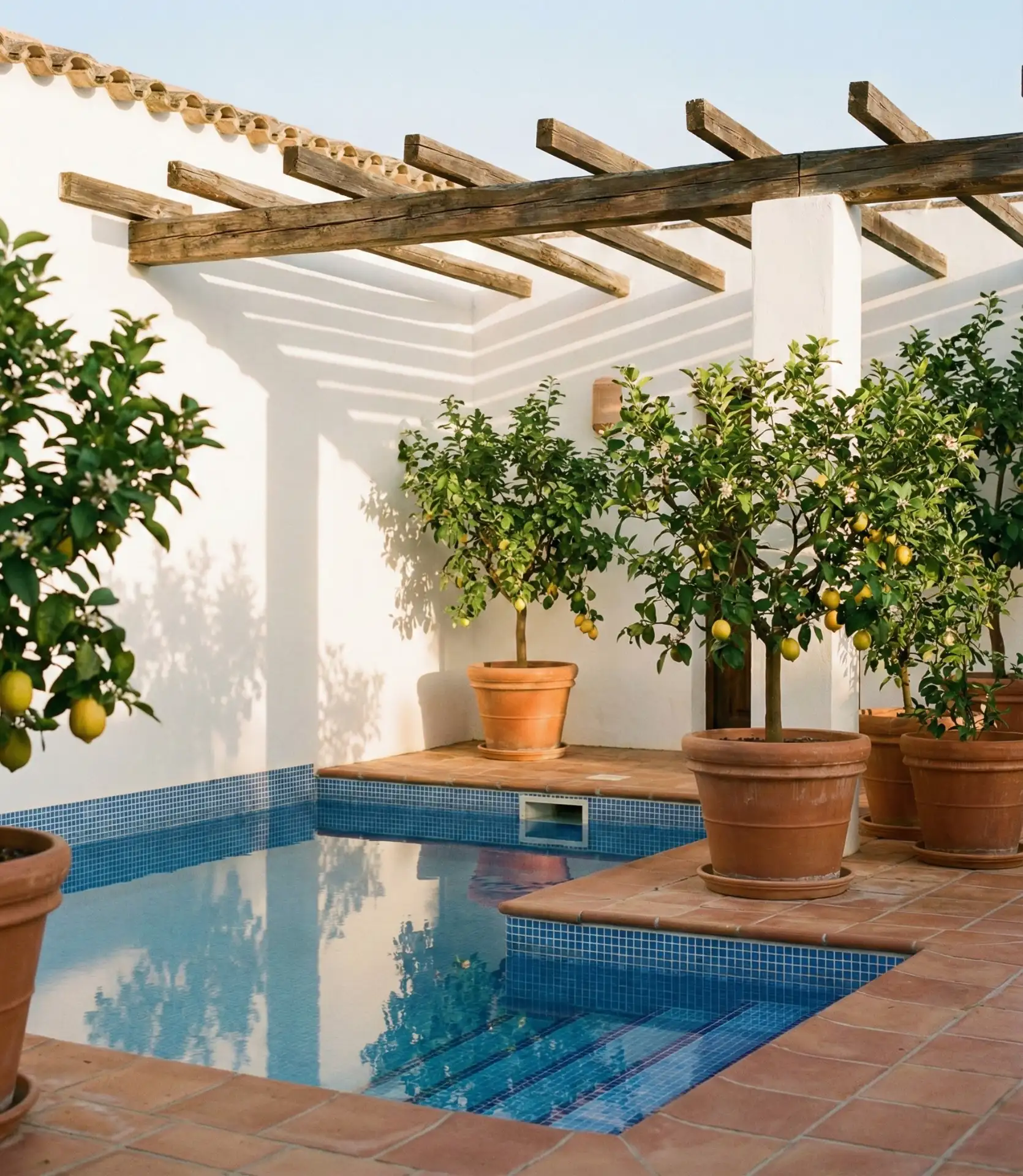 Mediterranean Courtyard with Mosaic Accents 1