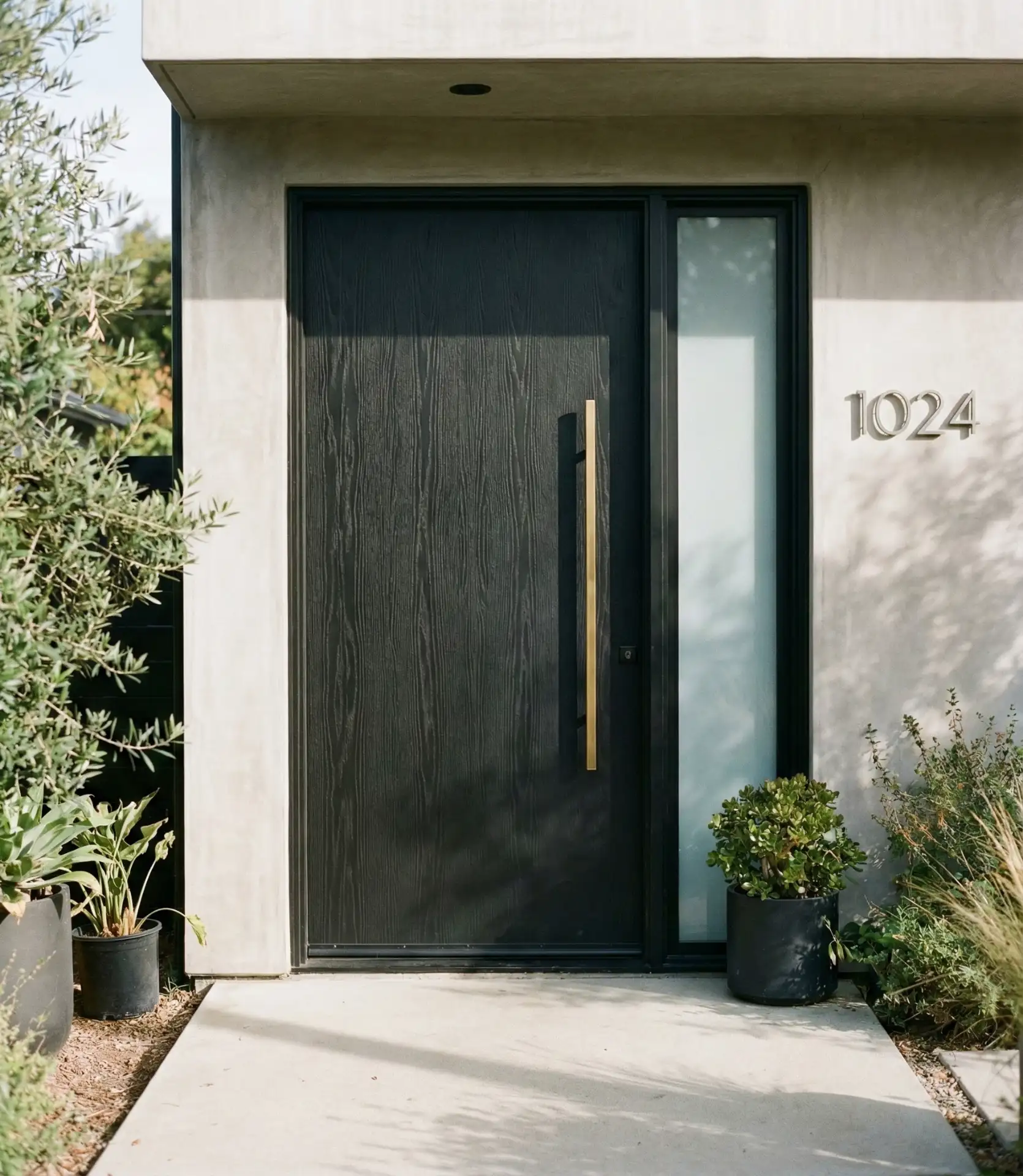 Modern Entrance Front Doors 2